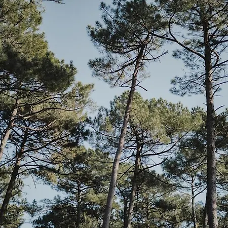 Douce Brise Proche Océan Seignosse