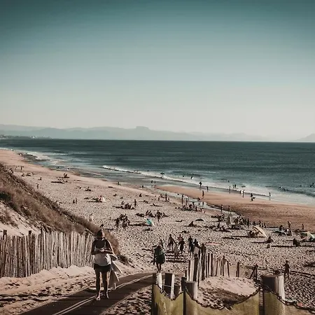 Douce Brise Proche Ocean *