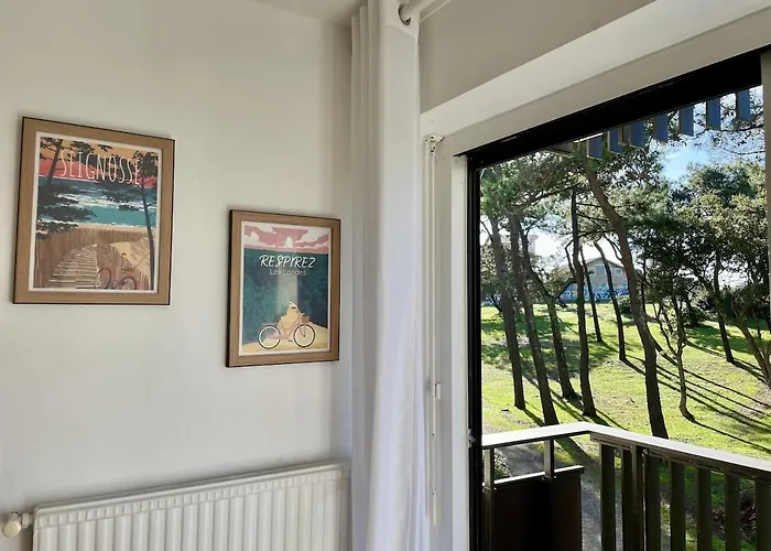 Douce Brise Proche Océan