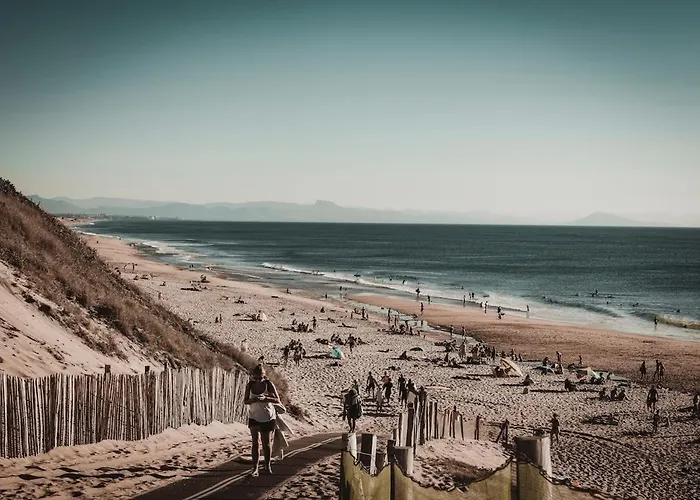 Douce Brise Proche Océan *